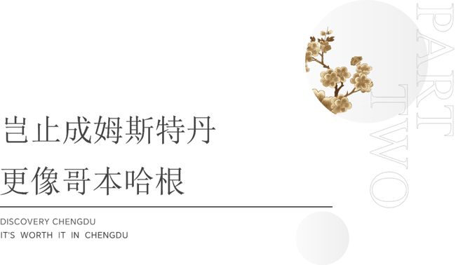 哥本哈根锦江上的(图9)